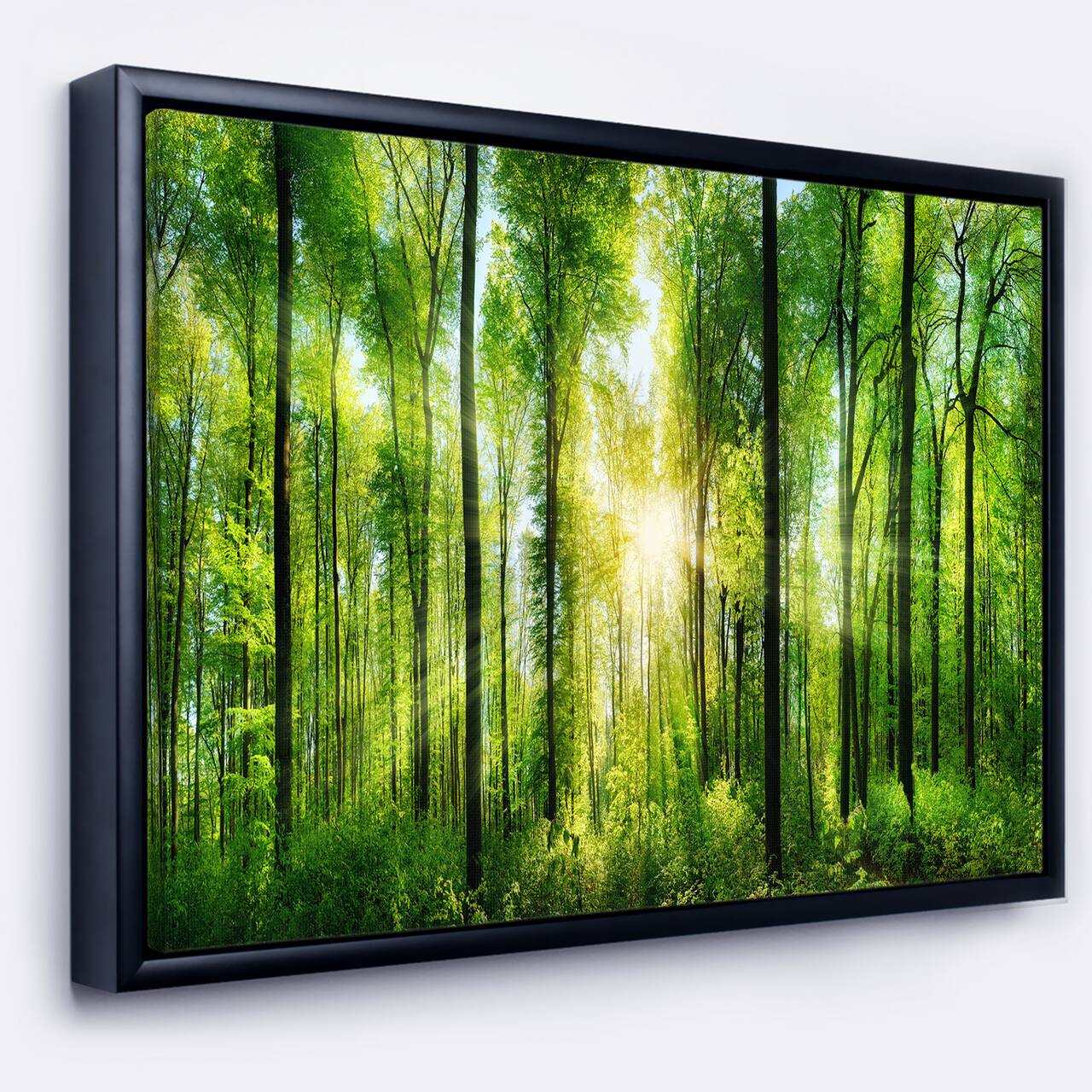 Designart - Forest with Rays of Sun Panorama - Landscape Art Print Framed Canvas